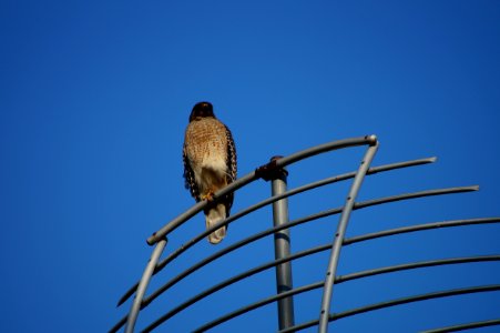 DSC01406