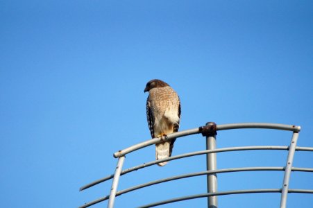 DSC01397