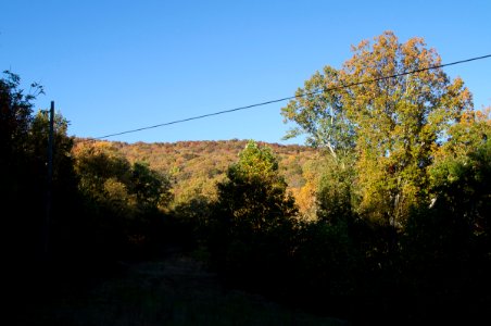 DSC04693