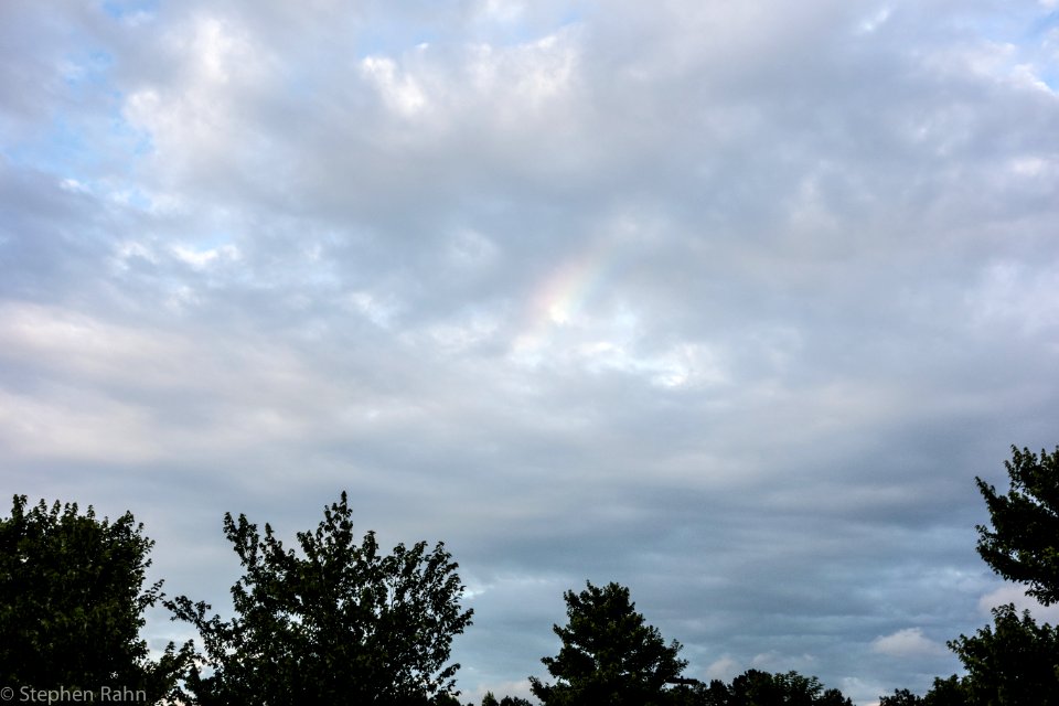 Swift-Cantrell Park 6/11/14