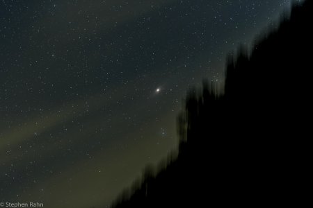 Andromeda Galaxy Clearing the Trees