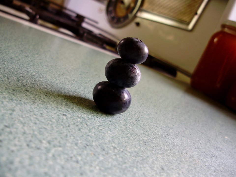blueberryman2
