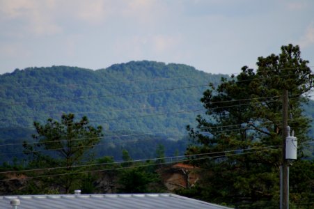 DSC01542
