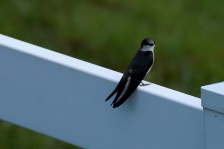 DSC00839