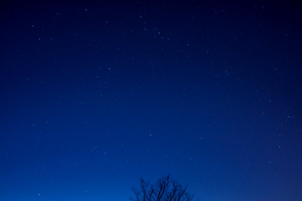 Starry Georgia Night