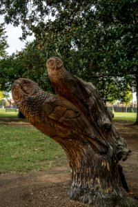 Tattnall Square Park