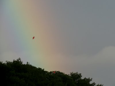 DSCN7761