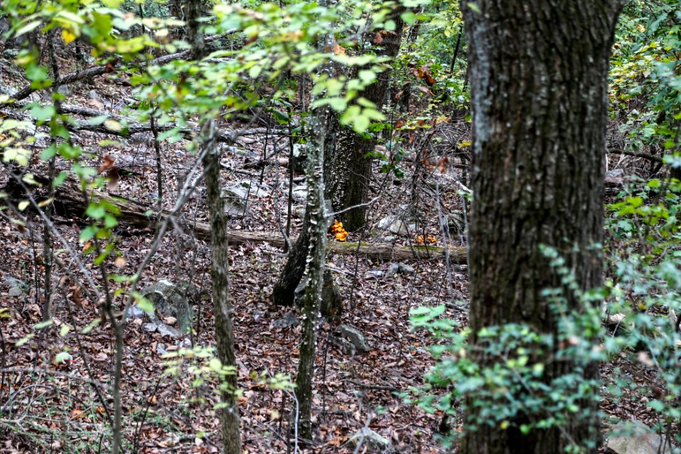 Kennesaw Mountain