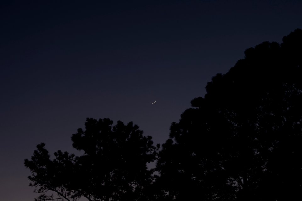 Waxing Crescent Moon on 3-26-20