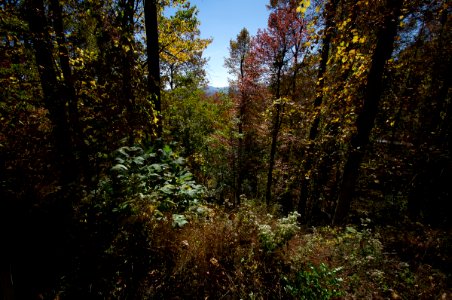 DSC04561