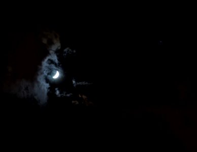 The Moon and Regulus