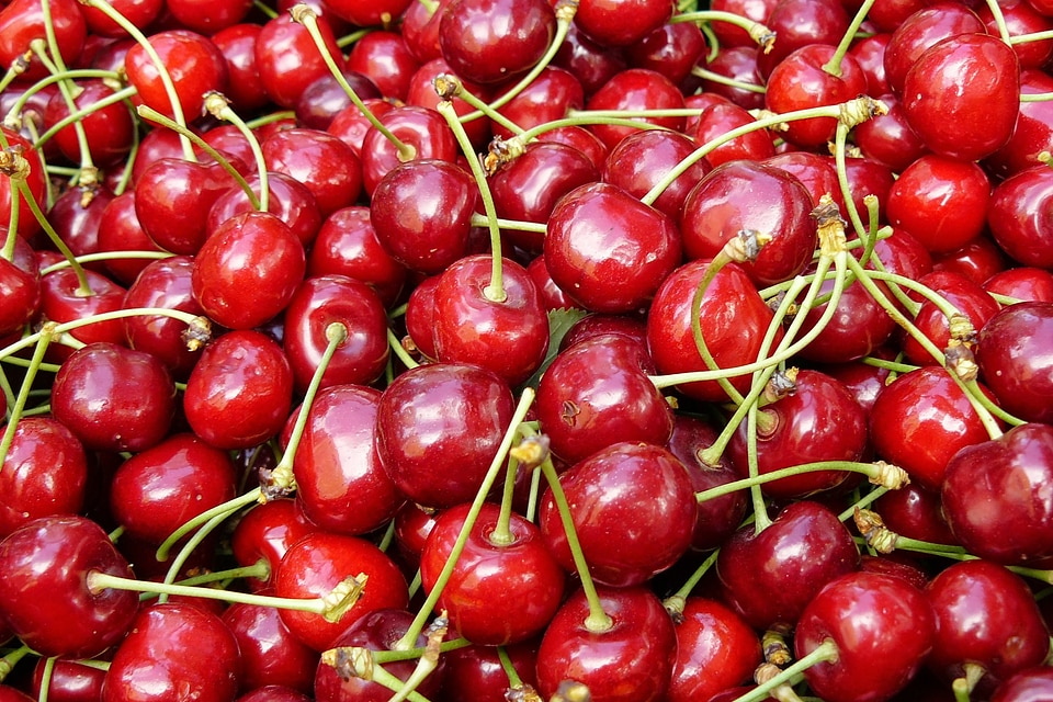 Sweet mature red fruit