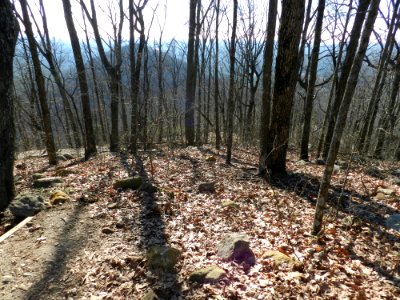 DSCN0050