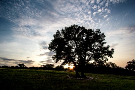 Texas Trip - June 2013