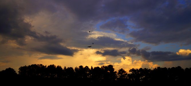 Day 143 - Aerial Escapades