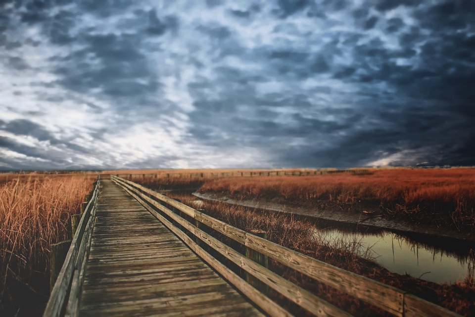 Landscape path nature