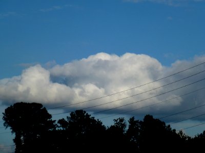 P1000104