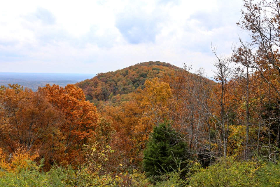 Kennesaw Mountain - October 31st, 2013