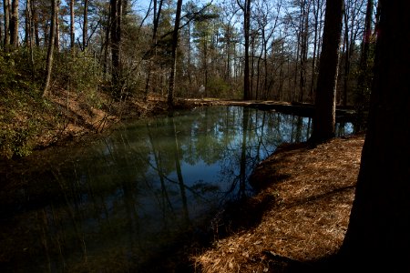 Berry College