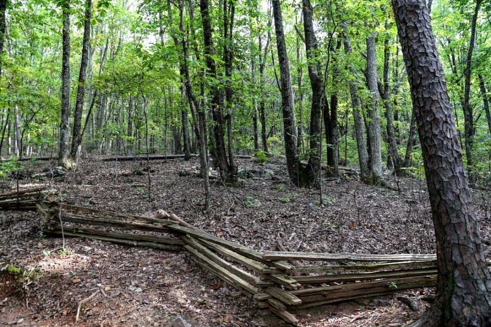 Kennesaw Mountain