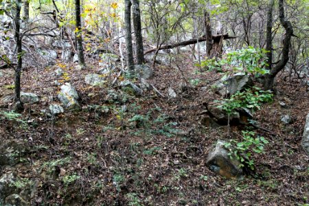 Kennesaw Mountain