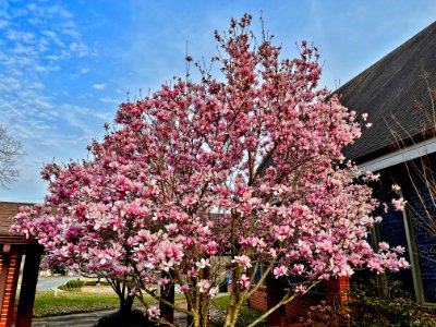 Day 72 - Spring is in the Air