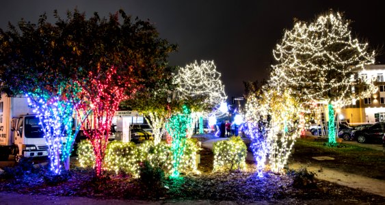 Holiday Lights in Downtown Macon, Georgia