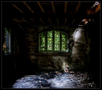 IMG 5381-Modifier