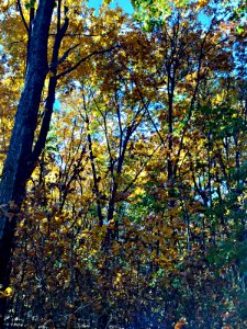 2011-11-02 14-44-12 HDR