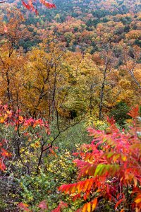 Kennesaw Mountain - October 31st, 2013