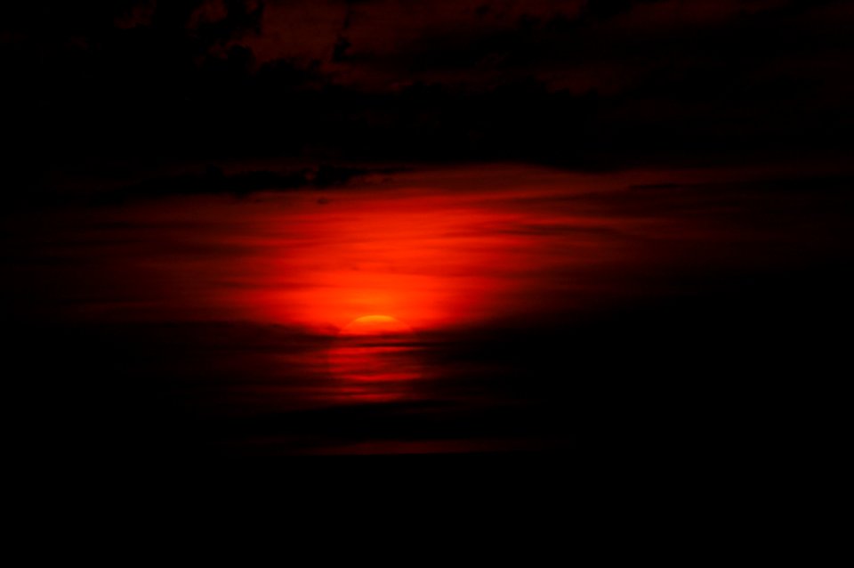 DSC01311