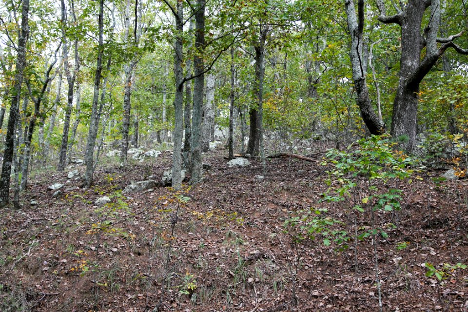Kennesaw Mountain