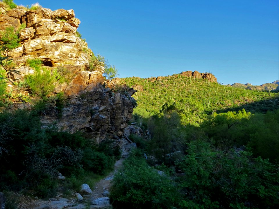 Bluff Trail, Sabino Canyon