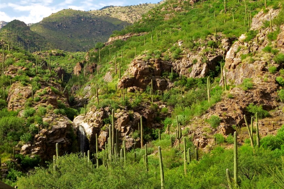 Ventana Canyon Resort, view behind the hotel.