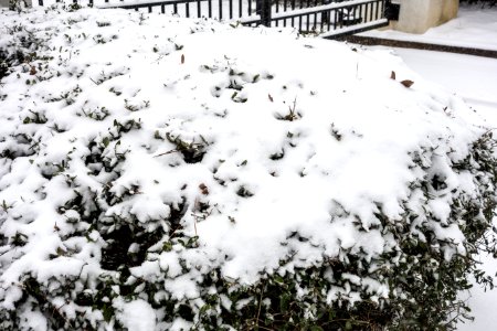 Snow in Kennesaw, Georgia - January 28th, 2014