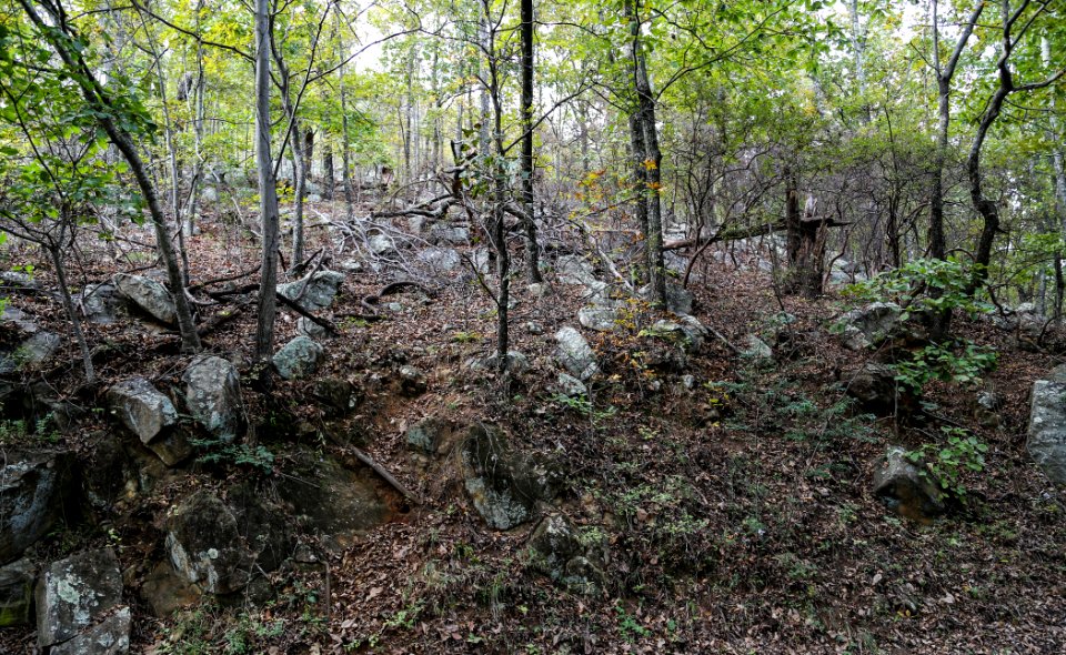 Kennesaw Mountain