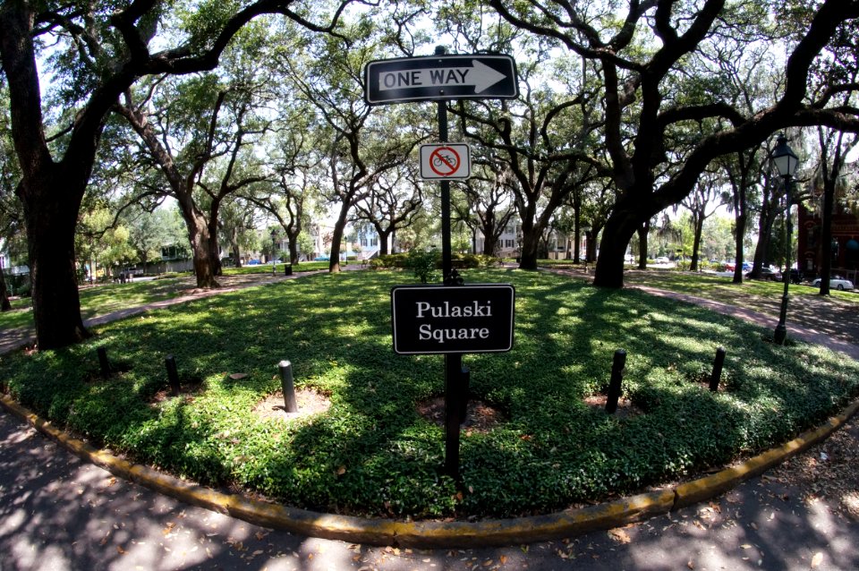 Day 188 - Pulaski Square