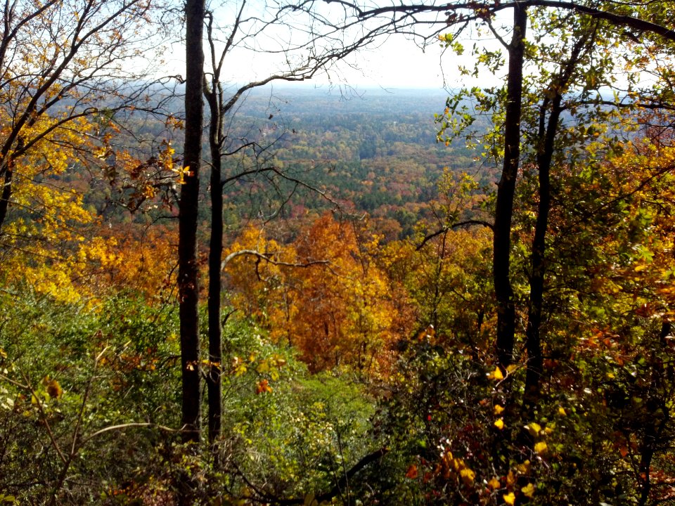 2011-11-02 15-14-04 949