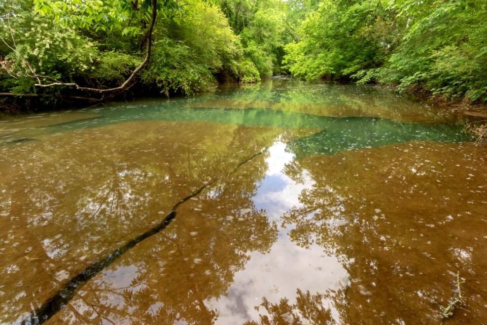 East Fork Stones River, Woodbury, Cannon County, Tennessee 1