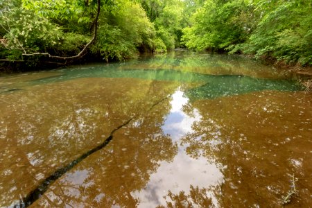 East Fork Stones River, Woodbury, Cannon County, Tennessee 1