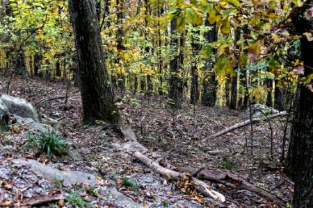 Kennesaw Mountain - October 31st, 2013
