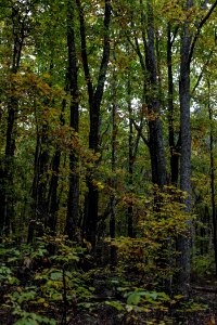 Kennesaw Mountain - October 31st, 2013