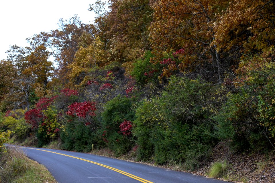 Kennesaw Mountain - October 31st, 2013