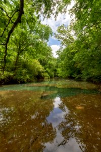 East Fork Stones River, Woodbury, Cannon County, Tennessee 2
