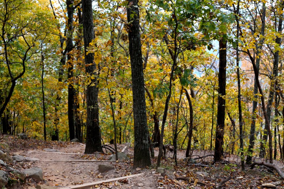 Kennesaw Mountain - October 31st, 2013