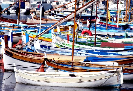 Bateau sur le port de Nice photo