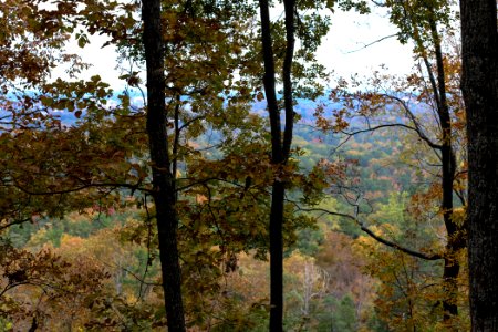 Kennesaw Mountain - October 31st, 2013