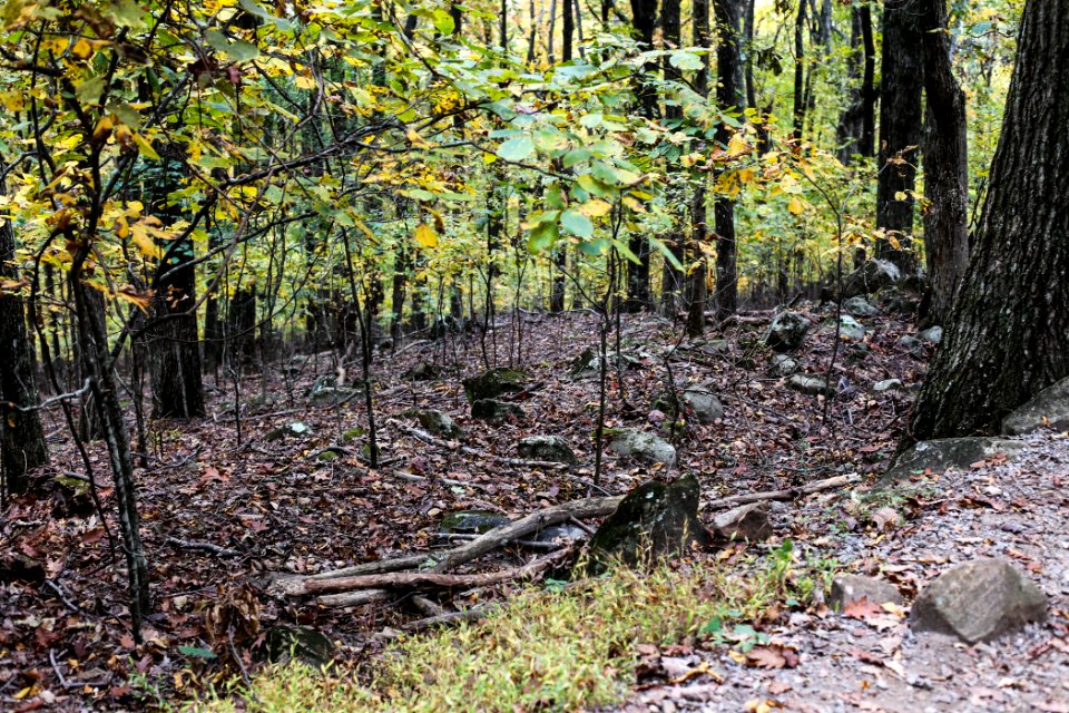 Kennesaw Mountain - October 31st, 2013