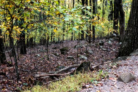 Kennesaw Mountain - October 31st, 2013