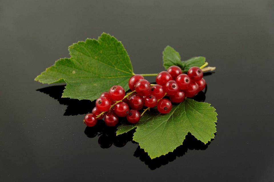Berries food nature